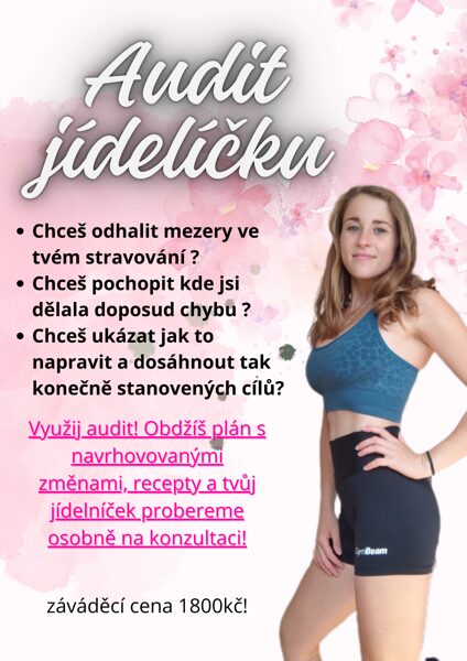 AUDIT JÍDELNÍČKU